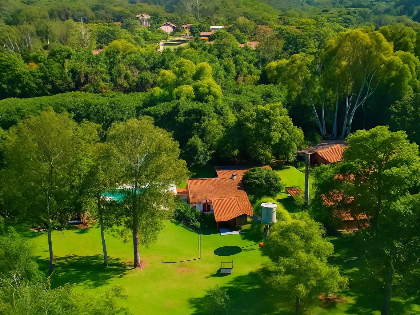 Estrutura da Campo Grande - Masculina 1