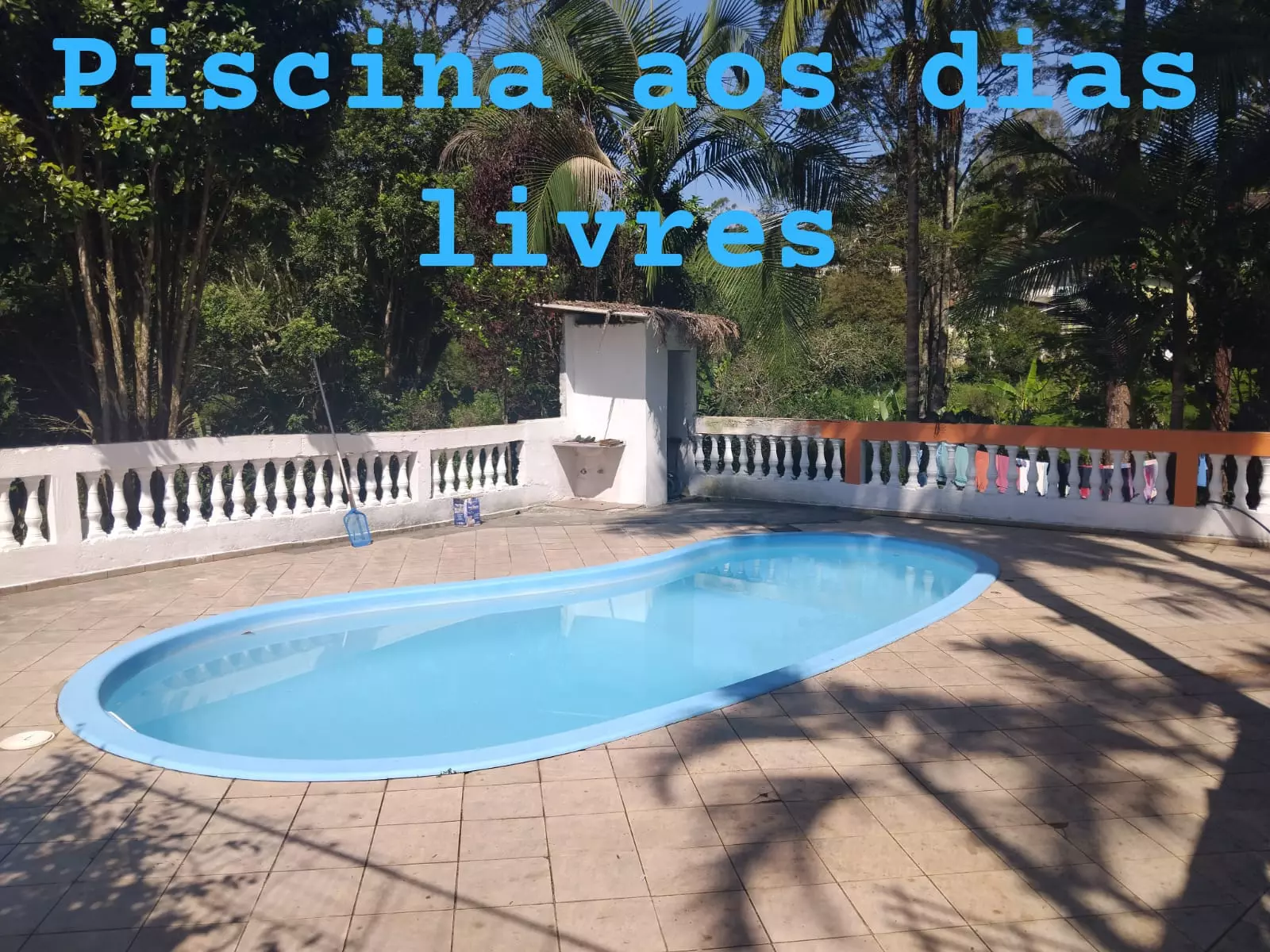 Estrutura da Suzano - Idoso Masculina 1